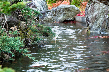 日本庭園を流れる川 / 日本の伝統文化イメージ