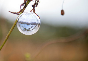 Soap bubble