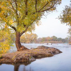 river coat with alone tree in foggy morning and blurred river in Ukraine