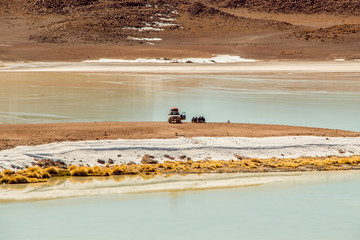 Gipe na ilha