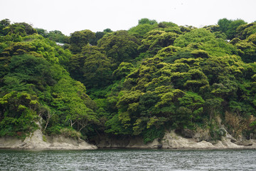 Dense and exhuberant vegetation in the coastline of an island in Japan.