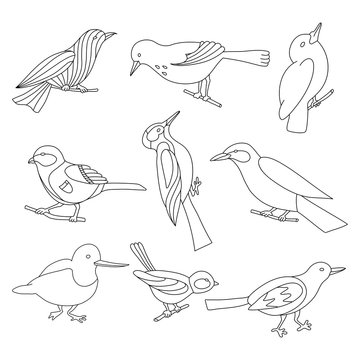 Set of birds for coloring book