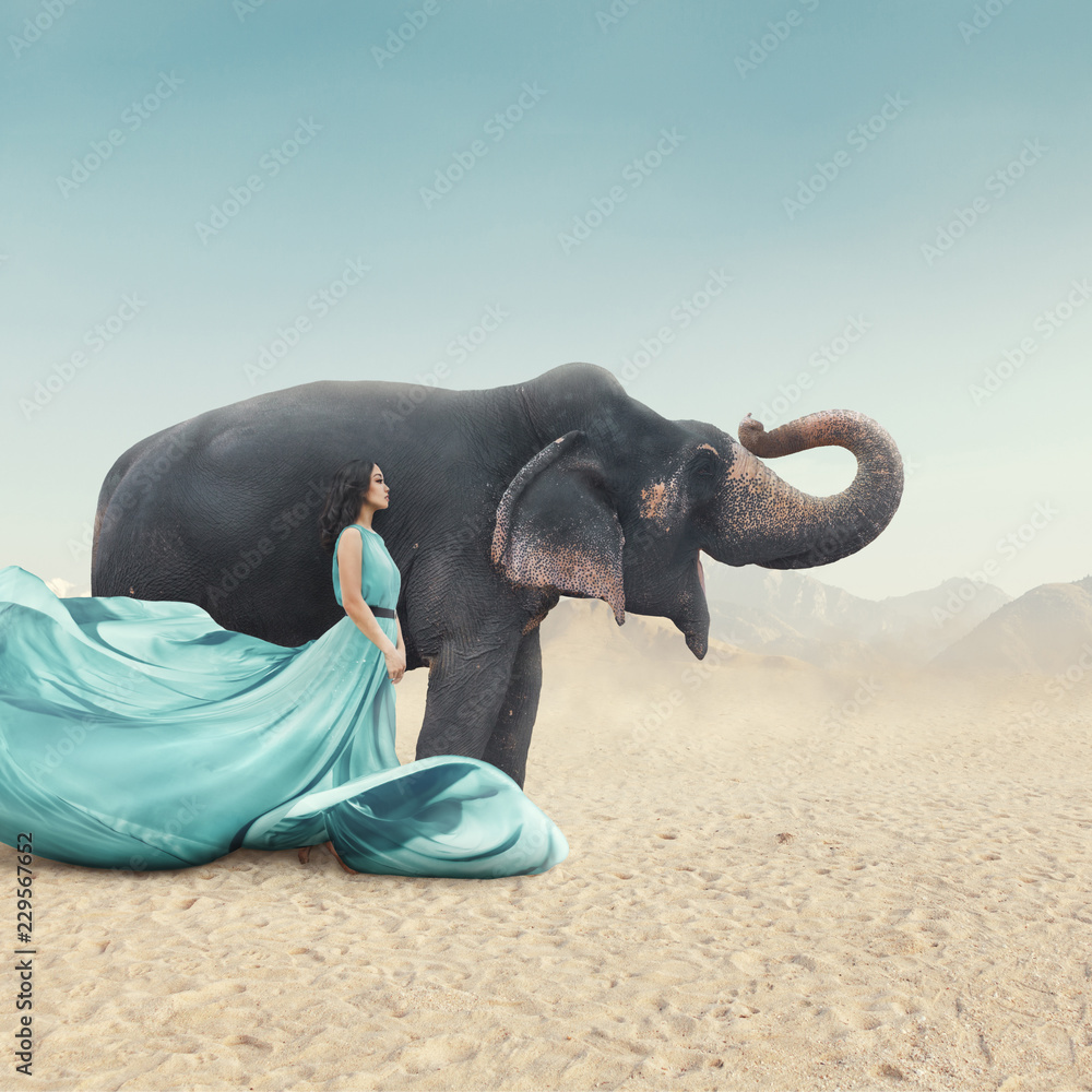 Wall mural fashion portrait of young woman posing next to elephant