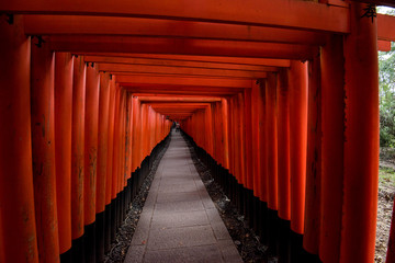 torii　Japan Temple Shrine building  Old buildings Red