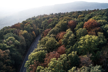 Obraz premium Autumn forest aerial drone view from above, dji, fog