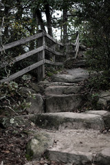 Stone Steps with Wooden Rails on a Hiking Trail