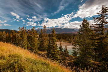 Athabasca River in Jasper National Park, Alberta, Canada