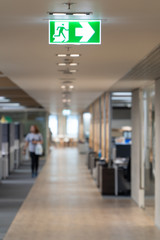 Green fire escape sign hang on the ceiling in the office.