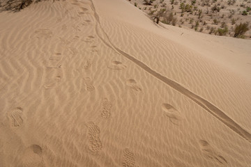 footsteps in the sand dunes in desert landscape in the middle east