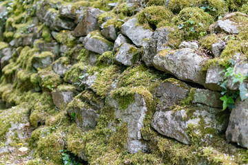 Moss covered stone wall