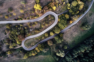 street between autumn forest aerial drone view from above, dji