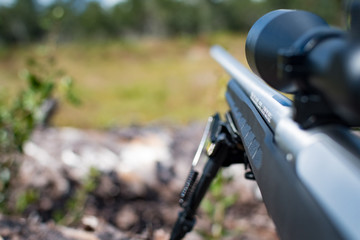 Scoped hunting rifle with bipod resting on a downed tree and looking down range
