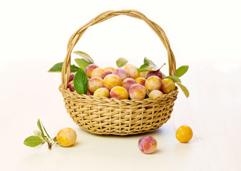 Mirabelle plums