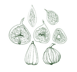 Figs. Set of tropical fruits. tartar. scketch. Illustration.