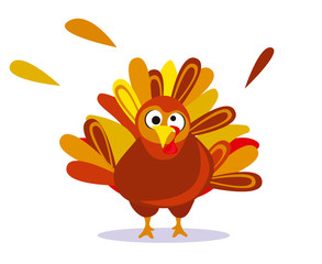 Turkey cartoon vector. Thanksgiving funny cute bird illustration.