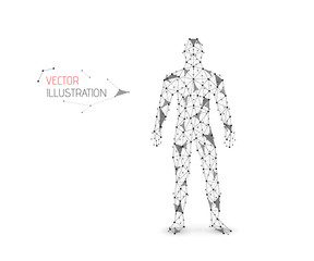 Abstract vector illustration of human body made of dots, lines and triangles. Man silhouette.