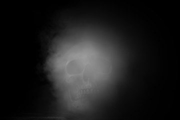abstract art picture of human skull, black and white