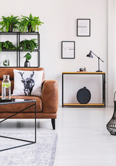Urban jungle in modern home interior. Pots with plant on a shelf behind comfortable leather sofa.