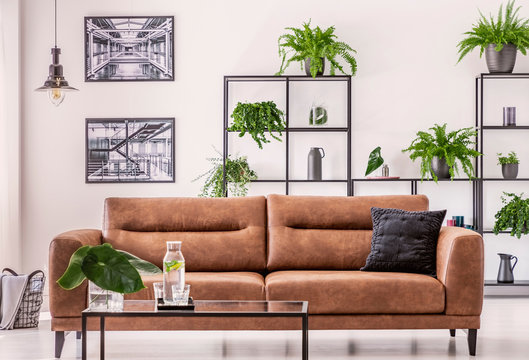 Brown leather sofa in the middle of elegant living room with urban jungle concept
