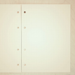 An open blank notebook, pages in a cage