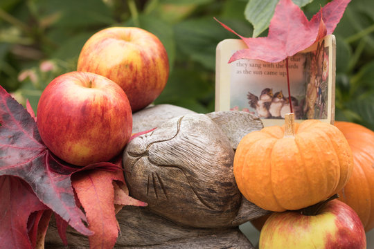 Autumn beautiful leaves, ripe red apples, orange pumpkins, small book & wooden sleeping cat are on natural green background of garden. Concept: fall stories. 