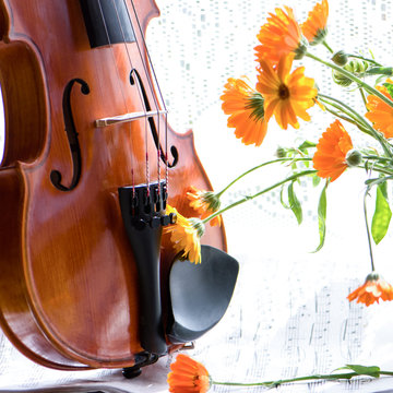 Bottom half of a violin with sheet music and flowers the front of the fiddle on windows background.