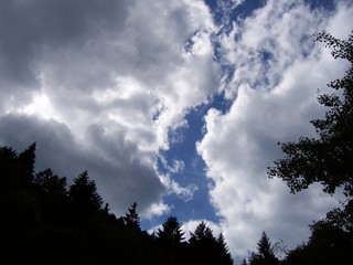 Fototapeta premium Schwarzwaldhimmel 1