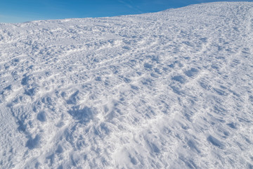 Fototapeta na wymiar Macro shot of snow cover. Winter background.