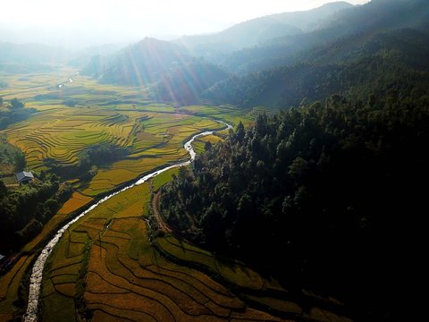 Luminous Valley