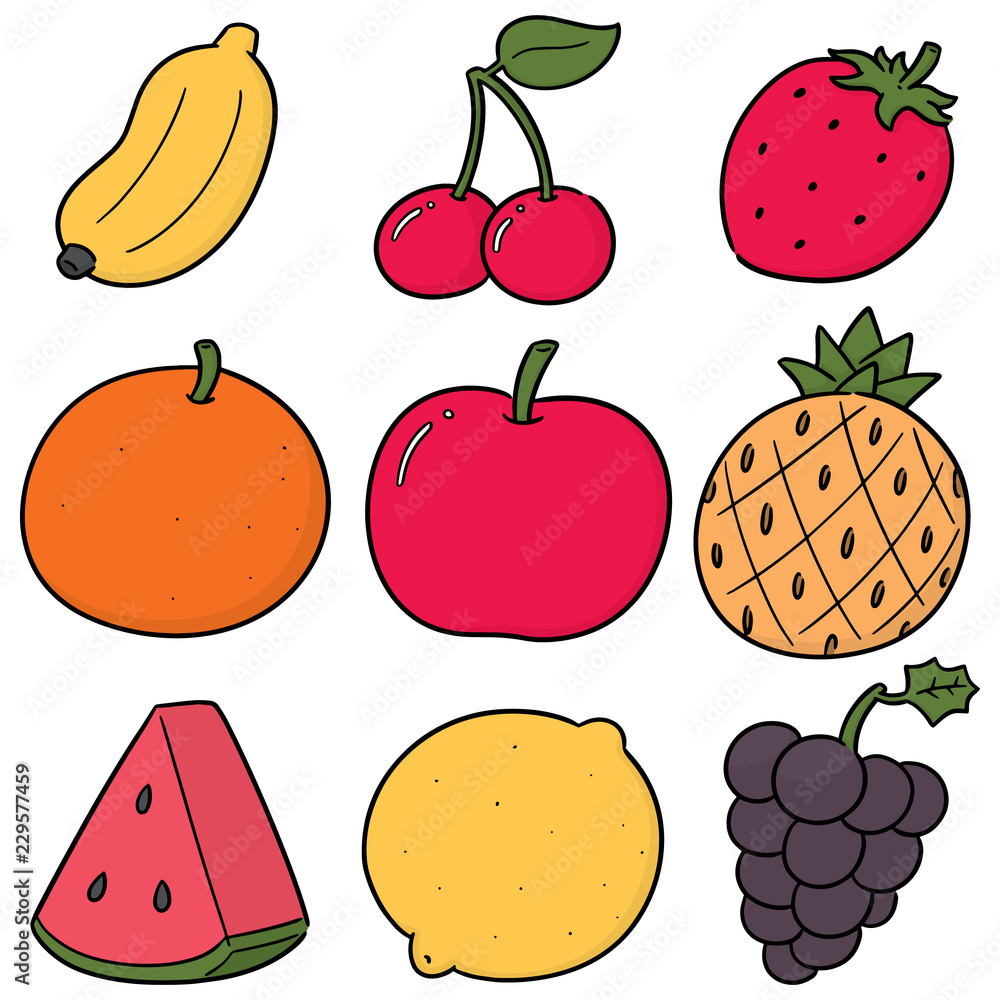 Wall mural vector set of fruits