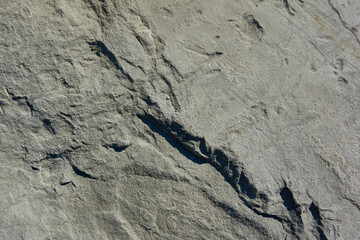 Natural stone with a natural texture as a design concept. Cracks created by nature on the surface of the stone with a natural color scheme, create a natural textured background. Texture for design.