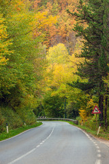 The curved highway through autumn forest in the Tuscany mountains, Italy