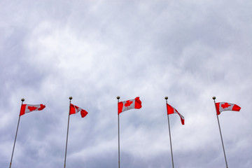 Five Canadian Flags on Poles Flapping in the Wind on a Cloudy Day