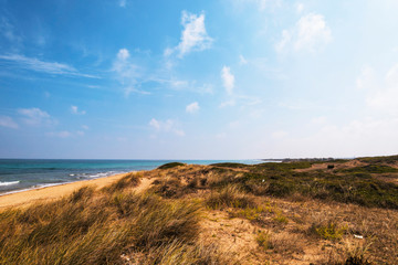 Beach in the coastal dune natural park of Ostuni in Salento on the Adriatic sea