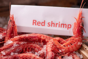 Fresh red Prawns ready to cook with ice