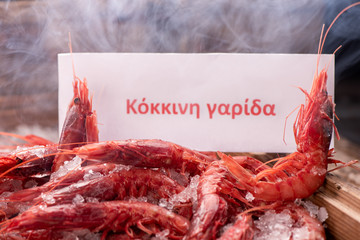 Fresh red Prawns ready to cook with ice