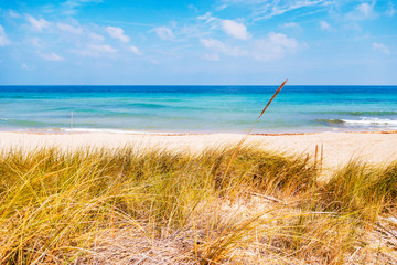 Beach in the coastal dune natural park of Ostuni in Salento on the Adriatic sea