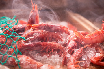 Fresh red Prawns ready to cook with ice