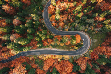 Cars on road trough a dense forest in autumn in the mountains on the road surrounded by forest in...