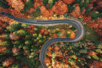 Curved winding road surrounded by forest in autumn in the Carpathian Mountains