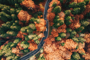 Winding curved road in the forest high up in the mountains in the fall