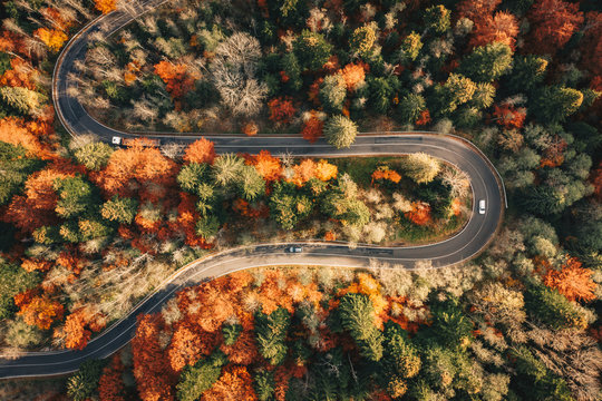 Winding mountain road trough the forest in the autumn with cars passing on the road
