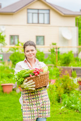 Woman with fresh vegetables in the basket in her hands. Space for text