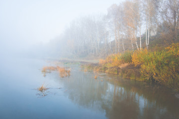 Naklejka na ściany i meble Morning on the calm river with forest on their bank
