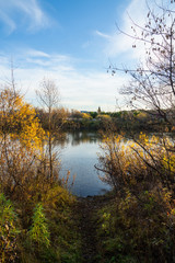 Morning on the calm river with forest on their bank