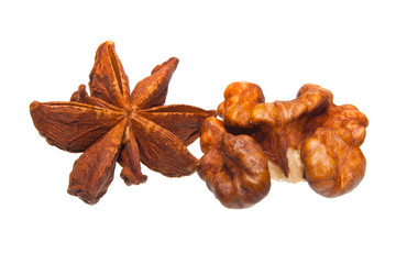 nut isolated on white background