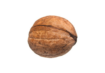 nut isolated on white background