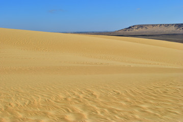 Fototapeta na wymiar Sahara desert. Egypt