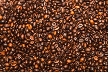 Scattered roasted coffee beans