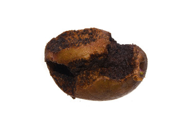 rotten potato isolated on white background
